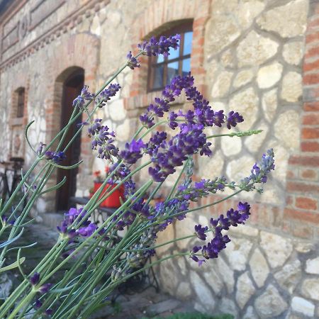 Hotel Levendula Porta Es Pajtaszinhaz Orfű Exteriér fotografie